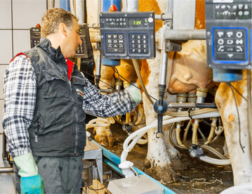 Mit dem neuen Q Check-Report sollen die Lebensbedingungen der Kühe künftig einfacher erfasst werden können.