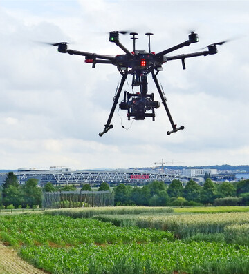 Drohnen helfen, Pflanzenkrankheiten fr�hzeitig zu erkennen.
