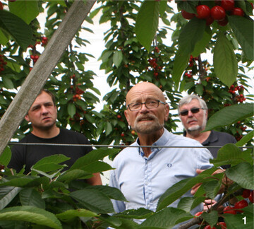 Bei einem Betriebsrundgang durch die KOB-Versuchsfl�chen informierte Thomas Kininger die Mitglieder des neuen Beratungsdienstes Obstbau �ber Erziehungsformen und Schnitttermine.