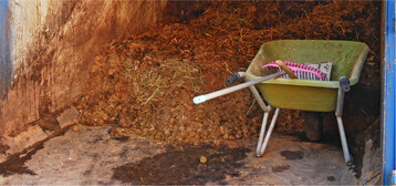 Pferdemist muss gut zerkleinert werden, um im Fermenter der Biogasanlage keine Probleme zu bereiten.�