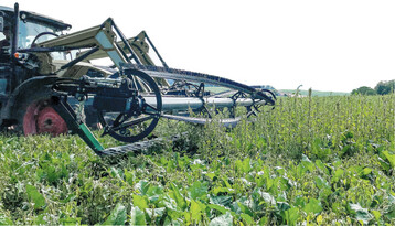 Die Haspel sorgt f�r eine sichere Materialzufuhr.