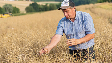 Der Rapsmarkt zieht wieder an. Die Pflanzen stehen insgesamt hervorragend, trotz der N�sse im Fr�hjahr. Die Trockenheit d�rfte sich negativ auf die Schotenf�llung auswirken.
