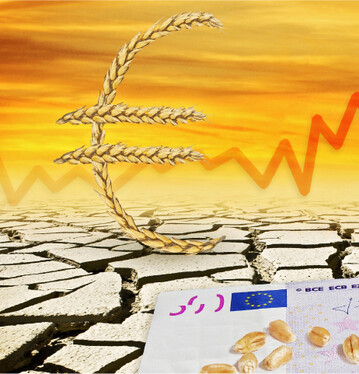 Die Trockenheit setzt den Kulturen zu und l�sst die B�rsenkurse steigen.