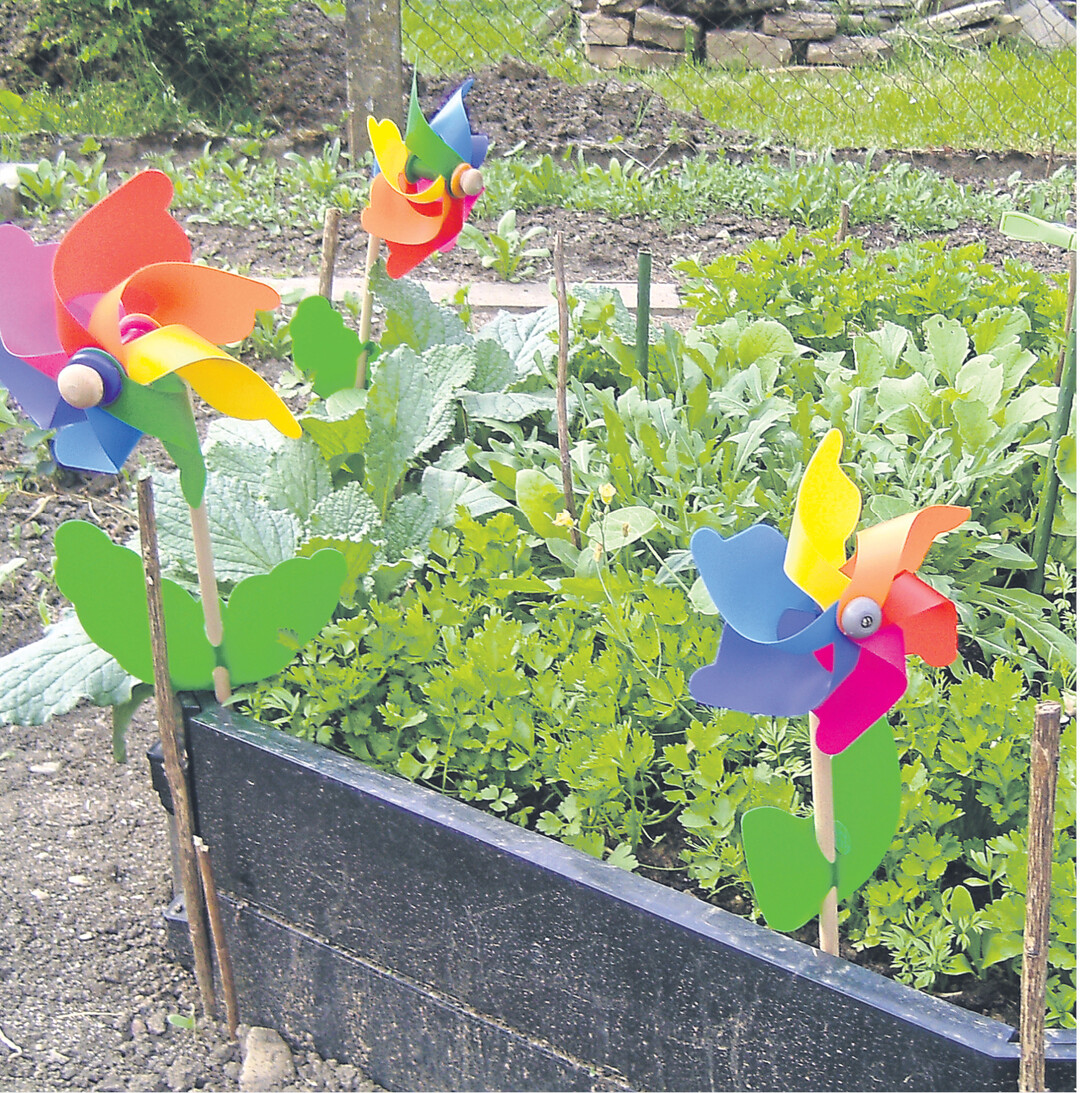 Petersilie, Rucola, Schnittsellerie und viele andere K�chenkr�uter gedeihen pr�chtig in einem Hochbeet. Die Pflanzen sind bequem zu pflegen und zu ernten oder in Regenperioden nach Schnecken abzusuchen. Mit einer Vliesabdeckung kann schon fr�h ges�t und gepflanzt werden. Die St�ckchen an den Beetecken dienen als St�tzen f�r das Vlies und Erleichtern das Zur�ckschlagen des Vlies zum L�ften des Beets.