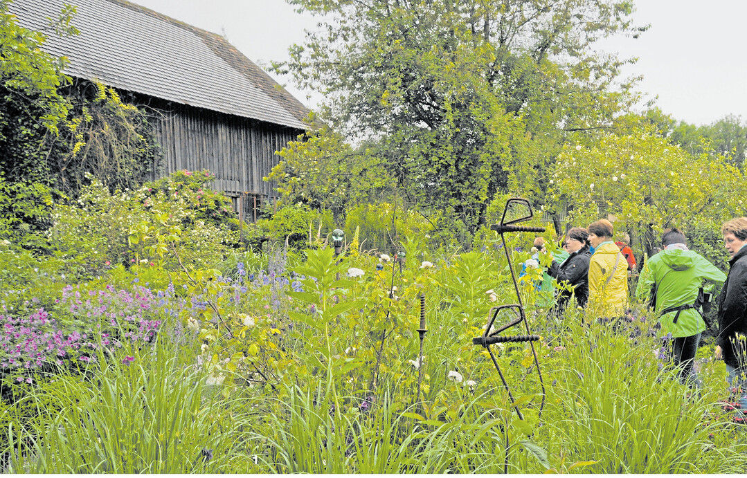 Im Naturgarten von Ulrike und J�rgen Jauch in Aulendorf-B�nried gibt es viel zu entdecken. Zwischen den �ppig wachsenden Gro�stauden ragen immer wieder selbst gemachte Kunstobjekte aus Metall, Holz oder Keramik empor, die historischen Rosen als Kletterger�st dienen.