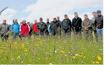 An einer FFH-Wiese wurde den Teilnehmern des Gr�nlandtags erl�utert, welche Kennarten bezeichnend f�r die schutzw�rdigen Fl�chen sind und wie ein Bestand kartiert wird.
