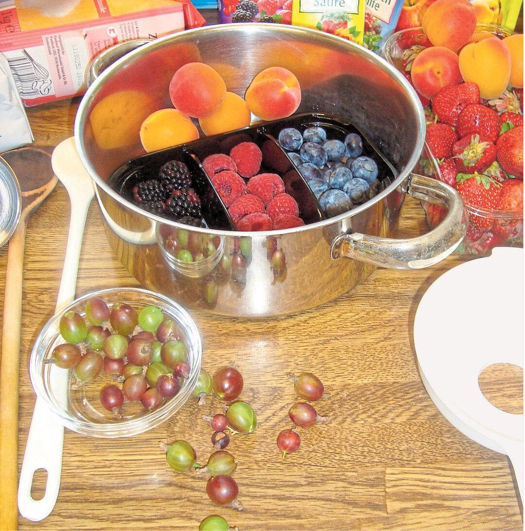 Jetzt bietet uns der Hausgarten eine reiche F�lle an Obst und Beeren. Da kann meist nicht alles zeitnah in der K�che verwendet werden, deshalb sorgen wir f�r den Winter vor. Auf den n�chsten Seiten gibt es Tipps zum Einkochen.