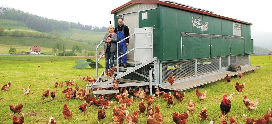Viel Platz und immer frisches Gr�n: Der Mobilstall bei Vollmers wird alle zwei Wochen versetzt.