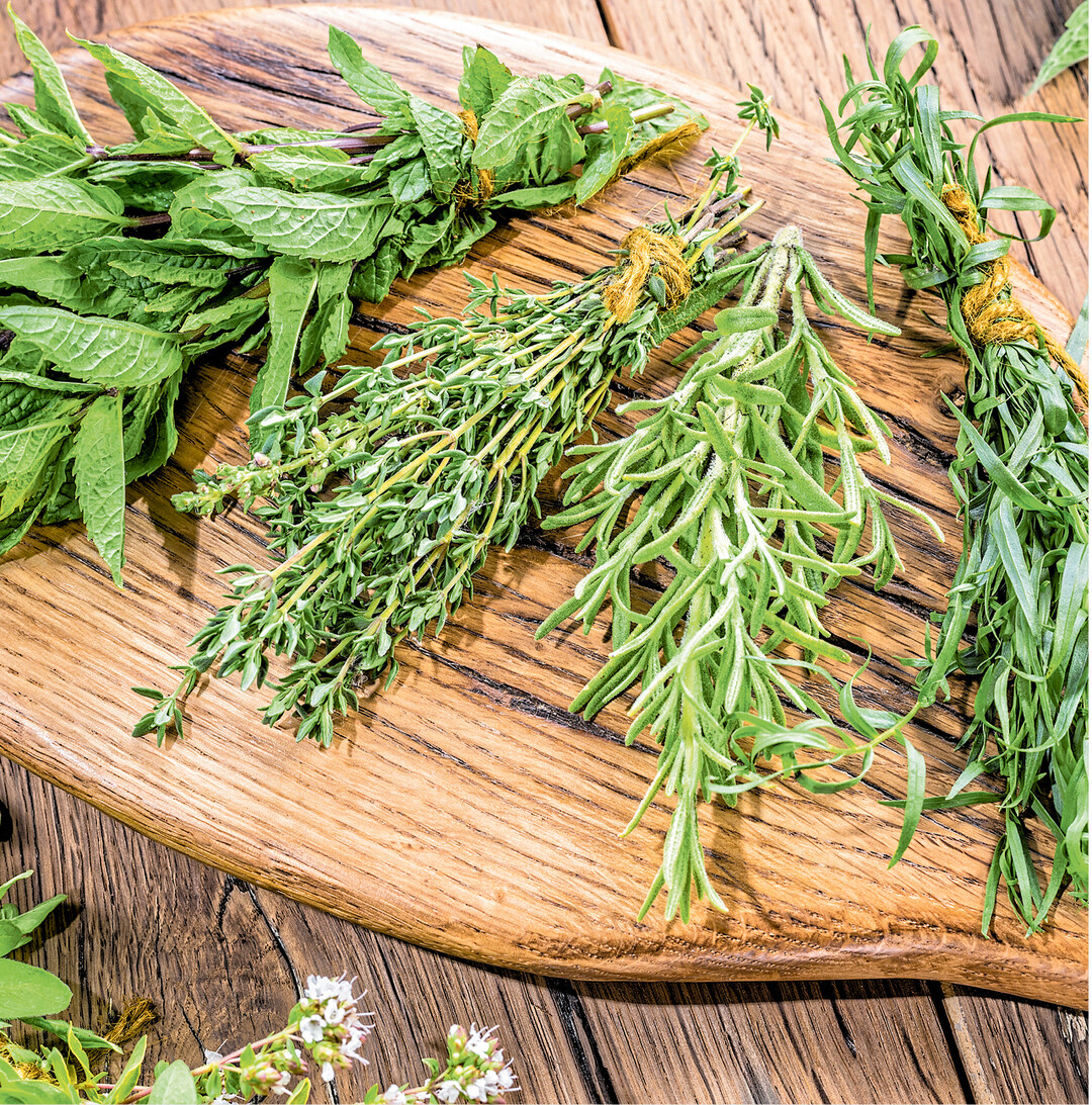 Wer Kr�uter trocknen m�chte, sollte sie kurz vor der Bl�te ernten. Dann haben sie ihre beste W�rzkraft. Ein sonniger Vormittag ist f�r den Schnitt empfehlenswert. Nach Regentagen warten Sie besser zwei Sonnentage ab.