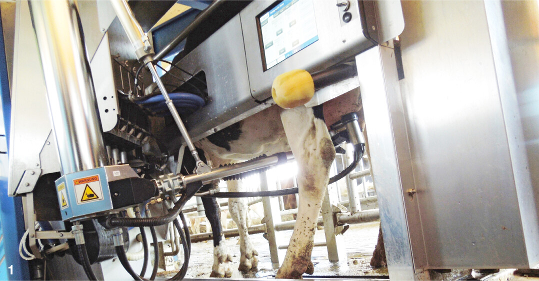 1 Ob nur mit Wasser oder doch mit S�ure oder sogar mit Hei�dampf: Die Zwischendesinfektion im Melkroboter ist wichtig, damit keine Mastitiserreger von Kuh zu Kuh �bertragen werden.