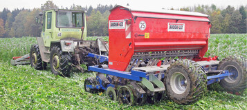 Direktsaat von Wintertriticale in eine legume Zwischenfrucht.