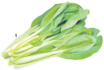 Komatsuna oder Senfspinat ist eine Abart des Chinakohls. Die Pflanzen sind relativ frostfest und sie k�nnen bis in den Winter hinein wachsen.