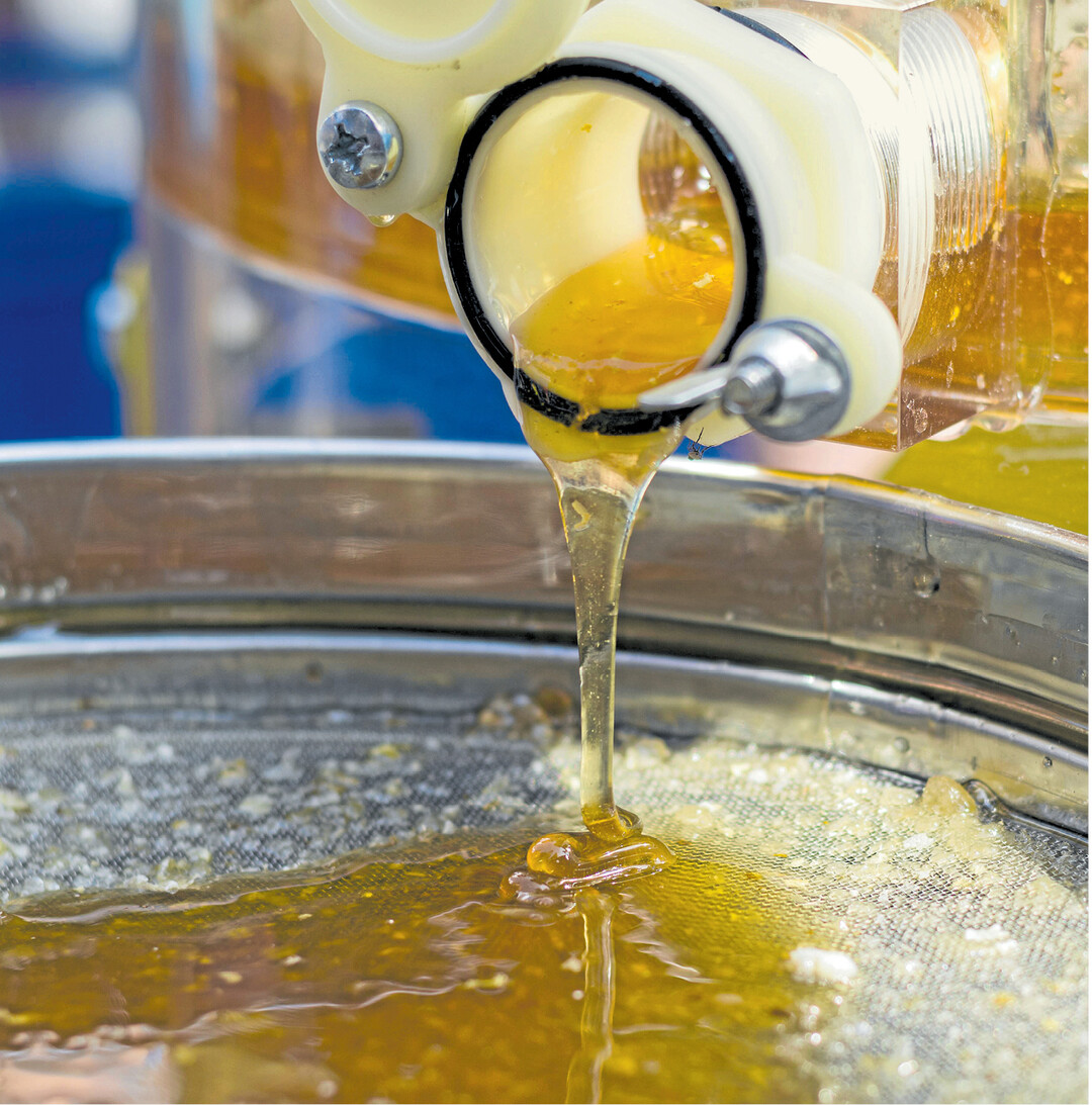 bild der woche Laut Bundesanstalt f�r Landwirtschaft und Ern�hrung konsumieren die Deutschen seit 2008 j�hrlich rund ein Kilogramm reinen Honig pro Person. Bundesweit lag der Verbrauch 2015 bei gut 90.000 Tonnen, etwa 23.000 Tonnen davon haben einheimische Bienen erzeugt. 90.300 Tonnen wurden importiert, davon die H�lfte aus Mexiko, der Ukraine und China. Auf dem Foto flie�t frischer Honig aus der Schleuder durch ein Sieb.