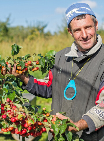 Von März bis Ende Oktober 2021 können Betriebe ihre ausländischen Saisonarbeitskräfte 102 statt 70 Tage sozialversicherungsfrei beschäftigen. Der Mindestlohn beträgt ab dem ersten Juli 9,60 Euro pro Stunde.