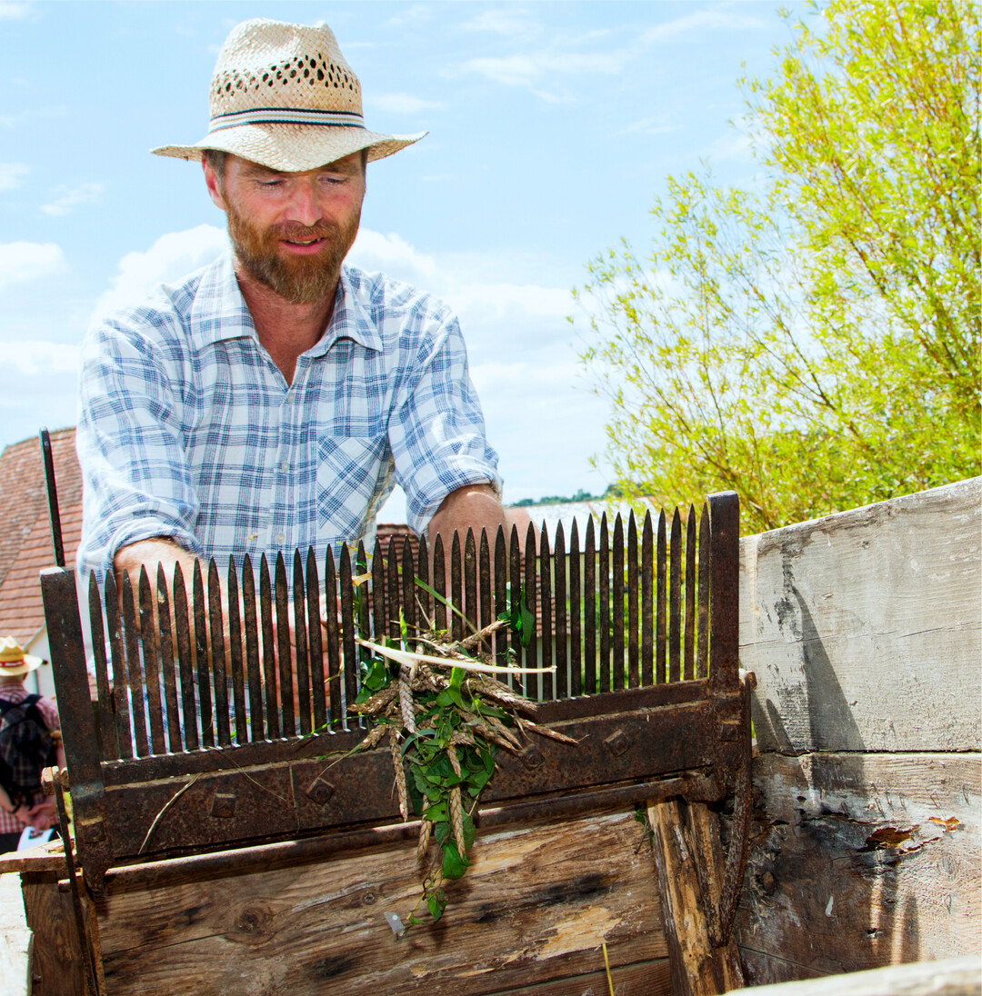Auf zum Gr�nkernfest S��licher rauchiger Geruch liegt am Sonntag, den 17. Juli, im Odenw�lder Freilandmuseum in Walld�rn-Gottersdorf in der Luft. Das bedeutet, die Gr�nkernernte hat begonnen. Morgens ab 10 Uhr wird der museumseigene Gr�nkern geerntet und ab der Mittagszeit �ber dem offenen Buchenholzfeuer in der historischen Darre aus Sindolsheim haltbar gemacht. Das Darren verhindert den G�rungsprozess, der unweigerlich beim Ernten unreifen Korns aufgrund des hohen Wassergehaltes einsetzen w�rde. Die Besucher k�nnen bei dieser Prozedur im wahrsten Sinne des Wortes hautnah miterleben, wie der Gr�nkern vor der Einrichtung moderner Darranlagen �ber dem offenen Holzrauch gedarrt wurde. Auch f�r das leibliche Wohl ist gesorgt: In der Dreschhalle aus B�rgstadt werden typische Gerichte von der Gr�nkernsuppe bis zum Gr�nkernsalat und dem Gr�nkernkuchen serviert. In der Baugruppe Bauland finden Lehmbauvorf�hrungen statt und in der Baugruppe Odenwald ist ein Feinsattler am Werk. Es werden Kr�uterprodukte und Sch�nes aus Stoff gezeigt. Auch die Museumskl�pplerinnen sind an diesem Tag im Museum und zeigen am blauen Haus die filigrane Technik des Kl�ppelns. Um 10.30 Uhr findet eine Kr�uterf�hrung statt. Das Museum ist an diesem Tag von 10 bis 18 Uhr ge�ffnet, Gr�nkerngerichte gibt es ab ca. 11 Uhr in der Dreschhalle, solange der Vorrat reicht. Die Gr�nkerndarre wird um die Mittagszeit in Betrieb genommen.