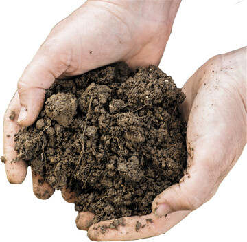 Auch Biostimulanzien brauchen eine g�nstige Bodenstruktur.