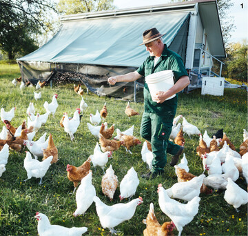 Thomas Schumacher h�lt Coffee und Cream-H�hner der �TZ.