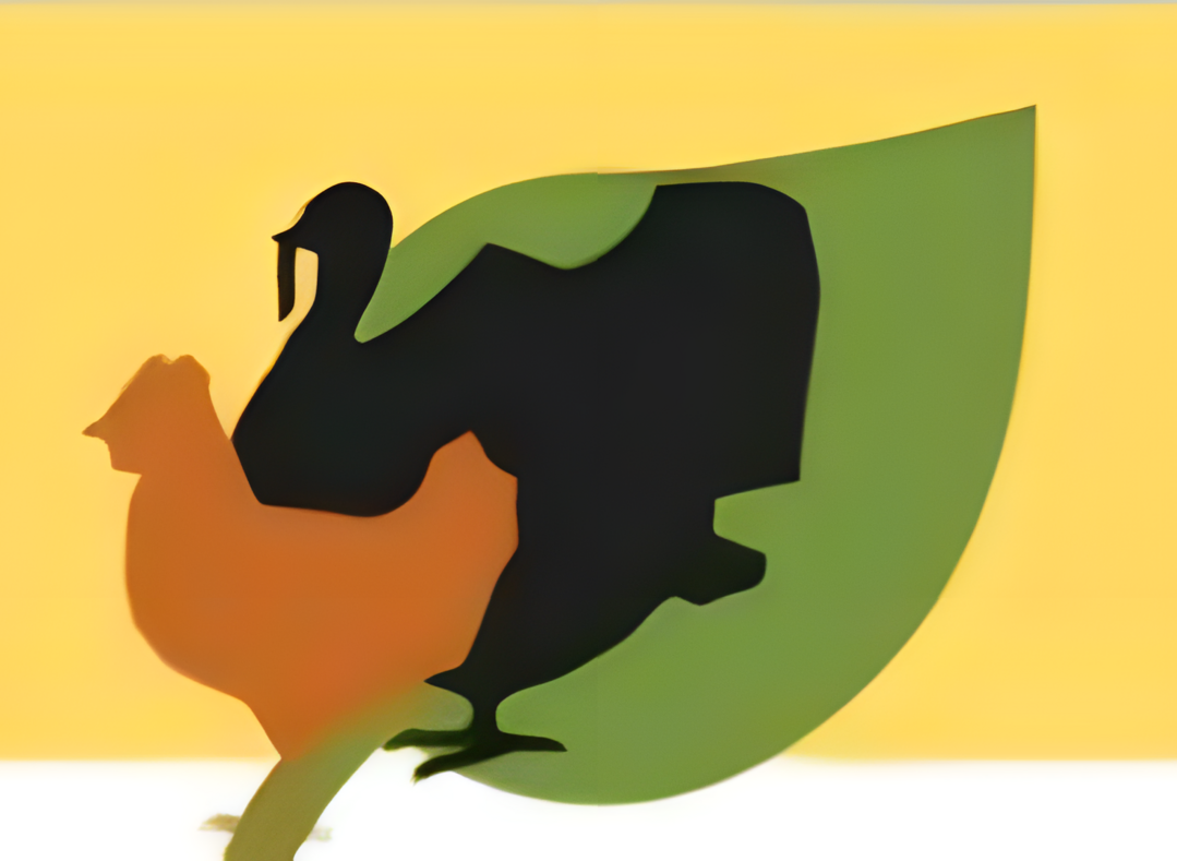 Das Projekt AntiMin-Pro untersuchte den Nutzen von alternativen Prophylaxemitteln in der Geflügelhaltung.