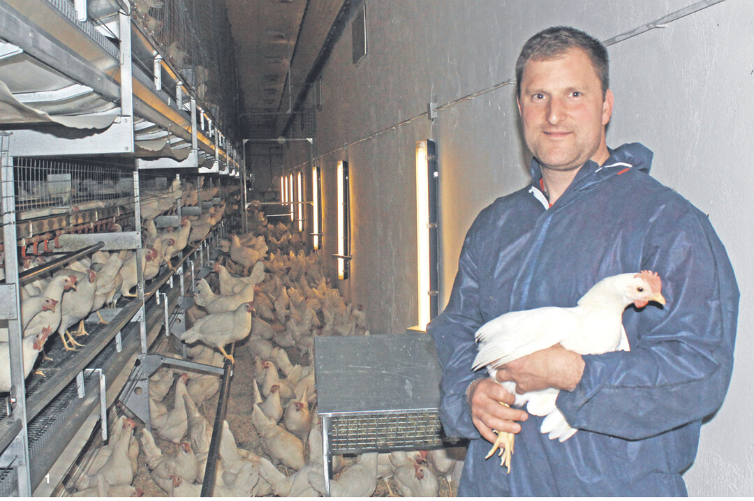 Benedikt Senn h�lt insgesamt 44.000 H�hner, verteilt auf vier Stallanlagen. Produziert werden die Eier konventionell mit Bodenhaltung. Gef�ttert wird GVO-frei, selbst gemischte Rationen, aus eigenem Getreide sowie zugekaufter K�rnermais und Soja aus Baden-W�rttemberg. Verkauft werden die Eier in der Region an Direktvermarkter, B�ckereien, Hotels und Gastst�tten sowie an den Lebensmitteleinzelhandel.