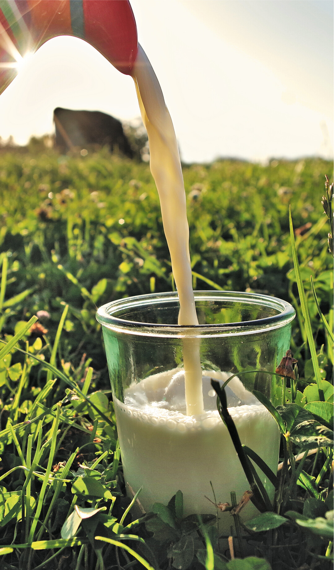 Der Ruf nach mehr Nachhaltigkeit ist das beherrschende Thema in der Milchwirtschaft. In der Erzeugung setzt sich GVO-freie Milch immer mehr durch. Auch der Anteil von Biomilch nimmt weiter zu. Der Milchmarkt 2019 war von einer au�ergew�hnlichen Stabilit�t gepr�gt. Die Extreme der Vorjahre zwischen der Fett- und Eiwei�verwertung relativierten sich.