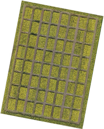 Drohnenaufnahme eines Rapsfelds.