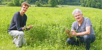 Im Anbau von Leguminosen wie der Luzerne sehen Philip K�hler (l.) und Wilhelm Wurth vom LAZBW Aulendorf eine M�glichkeit, Futterl�cken bei Trockenheit zu schlie�en.