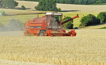 Weizendrusch im Kraichgau: Die regionale Getreideernte l�uft. Die Folgen des blockierten Exportkorridors �bers Schwarze Meer sind allerdings noch nicht abzusehen.