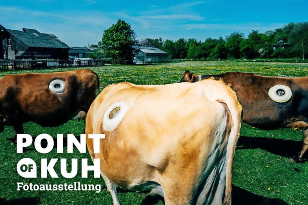Die Ausstellung „Point of Kuh“ von Nikita Teryoshin und der Universität Hohenheim zeigt Bilder der Versuchskühe.