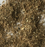 Bakterien müssen mit speziellen Verfahren in eine stabile, zum Handel taugliche Form überführt werden. Meist werden Sporen als inaktive Dauerformen auf Trägermaterialien, wie hier Vermiculit, aufgebracht. Bei Kontakt mit Bodenfeuchtigkeit setzt dann die Vermehrung der Bakterien wieder ein.