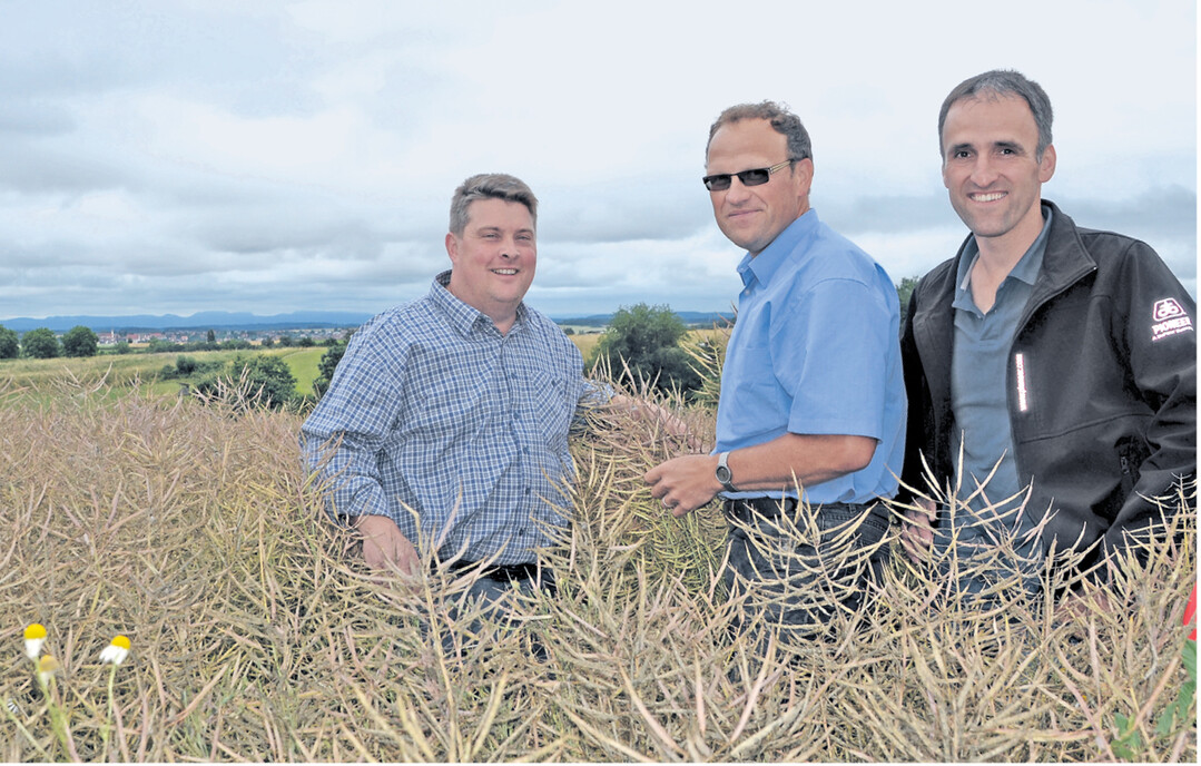 Landwirt Christoph Straub aus Horb sowie Manfred Fink (BASF-Berater f�r Landwirte in Baden-W�rttemberg) und Harald Walter, Beratungslandwirt f�r die Firma DuPont Pioneer (v. l.), sind mit der Entwicklung des CL-Rapses des Horber Landwirts zufrieden.