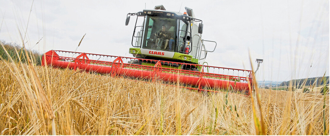In Pflummern bei Riedlingen nimmt ein M�hdrescher Wintergerste auf. In den sp�teren Lagen wie hier sind die Ertr�ge h�her.