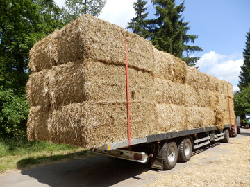 Bei Fahrten auf �ffentlichen Wegen und Stra�en ist einiges zu beachten. Da die Ladung dieses Plattformwagens mit ausgezogener Ladest�tze mehr als 1,0 m �ber die R�ckleuchten hinaussteht, muss die Ladung gekennzeichnet werden. Die Anzahl der Gurte ist nicht ausreichend.