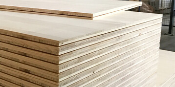 Die S�gewerk Echtle KG im Schwarzwald produziert Holzplatten aus Wei�tanne. Das Bild zeigt Dreischichtplatten mit umlaufender Nut zur unsichtbaren Befestigung mit abgestimmtem Montagesystem. K�nftig soll mehr Holz im Land verarbeitet und der Holzbau weiter ausgebaut werden.