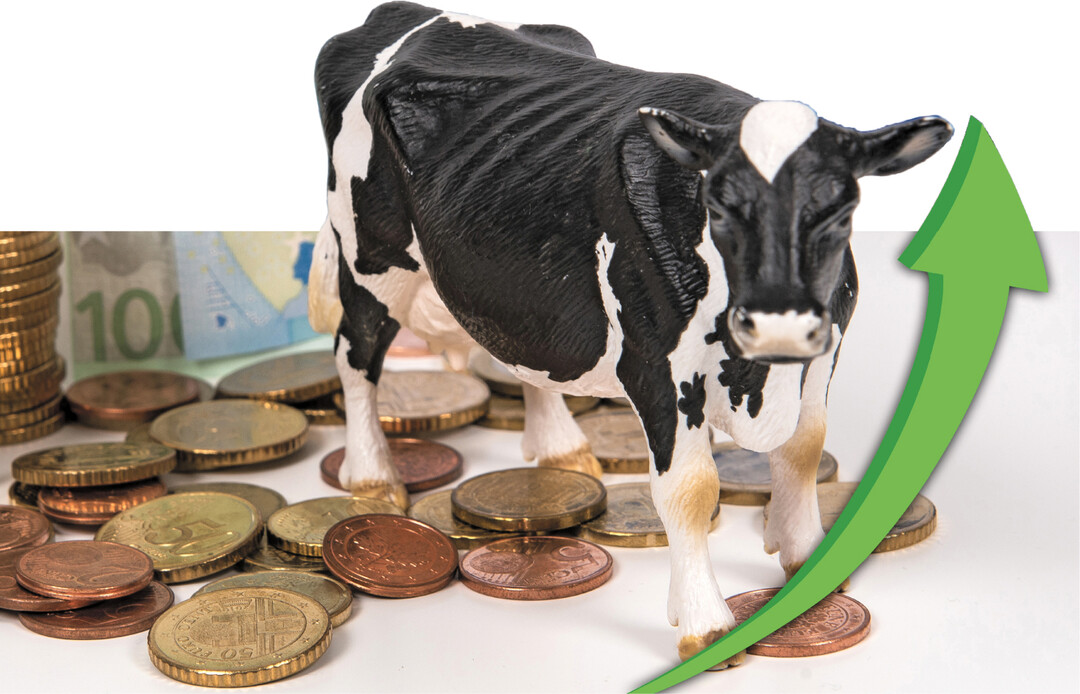 Im ersten Halbjahr 2022 erreichten die Erzeugerpreise neue H�chstst�nde.