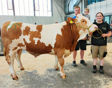 Hoch in der K�ufergunst stand dieser typisierte Ephraim-Sohn aus der Zucht der Familie Winterhalder aus Tannheim. Er wies sehr hohe genomische Zuchtwerte f�r die Leistung und die Eutervererbung vor.