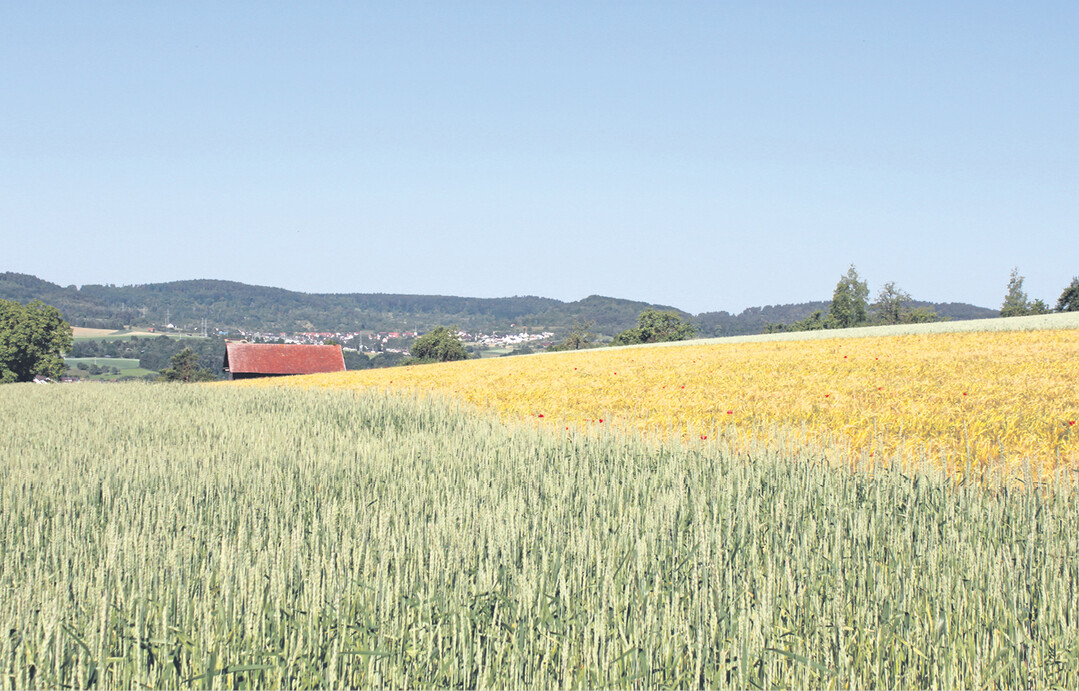 Die F�rderprogramme f�r den l�ndlichen Raum tragen zum Erhalt und zur Pflege unserer Kulturlandschaft bei.