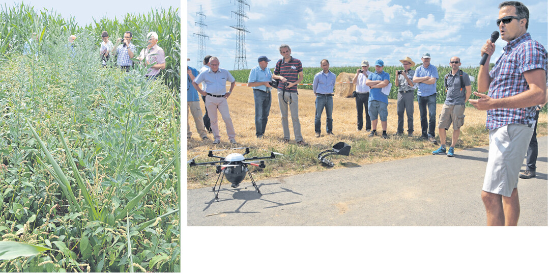 Exkursion im Rahmen der Pflanzenschutztagung des DMK. Sie f�hrte zur Firma AMW N�tzlinge in Pfungstadt, zu Herbizidversuchen (links) und Versuchen zum Einfluss von Wasserqualit�t auf die Herbizidausbringung (Pflanzenschutzdienst Hessen) und zum Einsatz des Multikopters mit Trichogramma der Firma Geokonzept aus Adelschlag (oben).