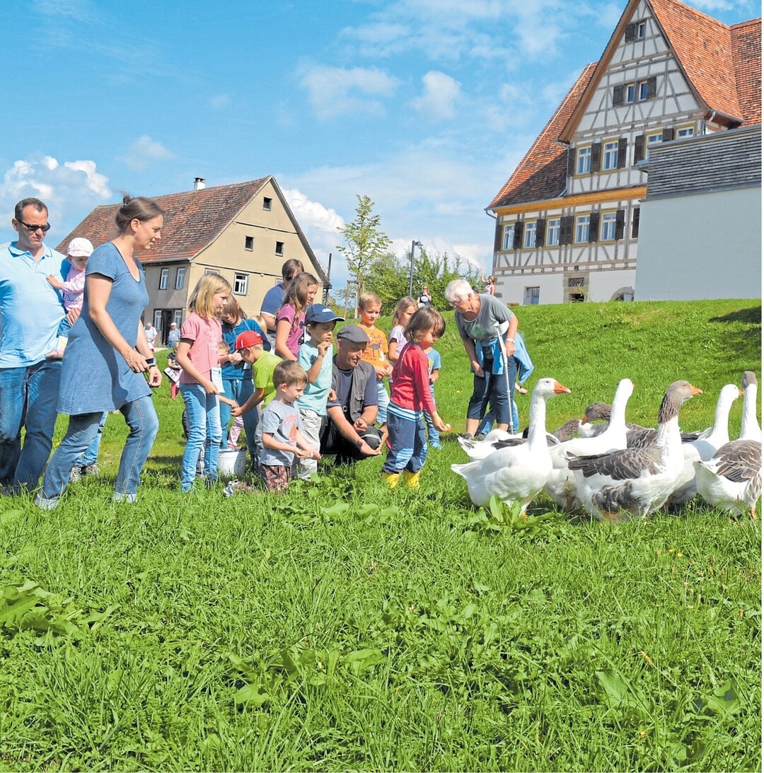 In den Sommerferien gibt es in den sieben Freilandmuseen im S�dwesten viele spannende Mitmachaktionen f�r Kinder und F�hrungen f�r Familien. Zu den meisten Aktionen kann man einfach kommen, teilweise ist Anmeldung erforderlich. Unter www.landmuseen.de finden Sie zu den einzelnen Museen und ihrem aktuellen Programm. Auch �ber die geb�hrenfreie Servicenummer 0800-76 87 336 k�nnen Sie sich informieren.
