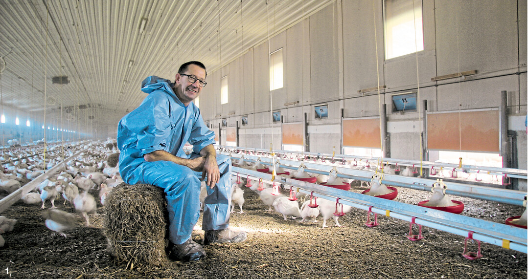 Hannes Sommer ist vom Tierschutzgedanken �berzeugt, seine H�hnchen haben viel Platz im Stall und im Auslauf und immer reichlich Besch�ftigungsmaterial.