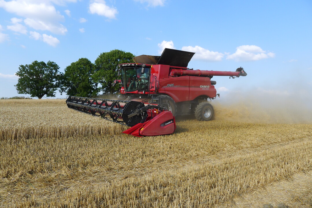 Die drei neuen und ab September bestellbaren Axial-Flow-Mähdrescher 7250, 8250 und 9250 von 450 bis 634 PS bieten eine Reihe neuer Automatikfunktionen und wählbare Drusch-Strategien.