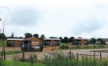 Blick �ber den Aktivstall.