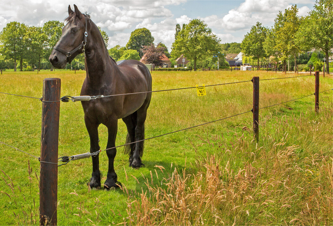 Das Zaunsystem Equifence" des Herstellers Gallagher punktet mit einem geringen Wartungsaufwand und einer hohen Lebensdauer.
