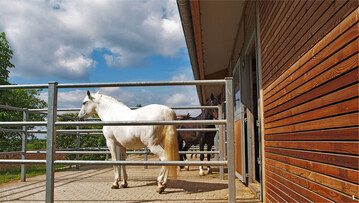 Paddockboxen bieten ein Plus an Platz und Frischluft. Der Untergrund sollte rutschfest und leicht zu reinigen sein.