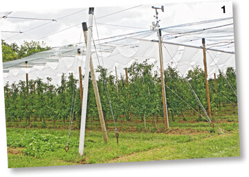 Am Öko-Modellbetrieb wird seit vergangenem Jahr ein bewegliches Überdachungssystem getestet, um die Bäume einerseits vor Regen zu schützen, andererseits die nachteiligen Effekte einer Überdachung zu minimieren.