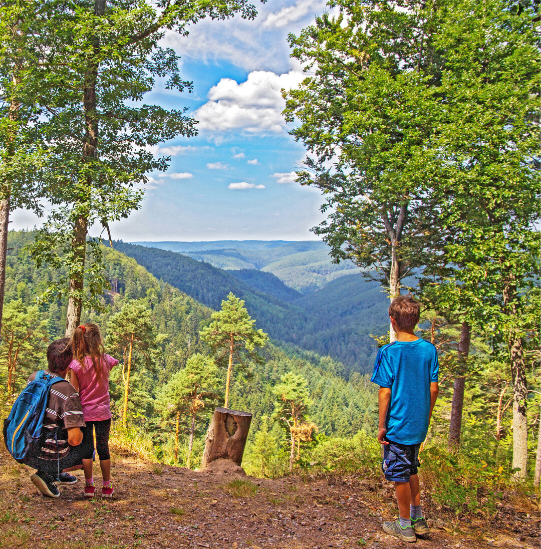 Fehlerteufel Bauernkalender Im k�rzlich erschienen Bauernkalender 2024 ist uns leider ein Fehler im Gitterbastelr�tsel auf Seite 139 unterlaufen. Damit Sie trotzdem an der Verlosung der Preise teilnehmen k�nnen, k�nnen Sie nun einfach das korrekte R�tsel in dieser Ausgabe l�sen. Entschuldigung f�r den Fehler, viel Spa� beim R�tseln und viel Gl�ck im Lostopf. mi