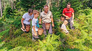F�rster Stefan Waidelich mit Lars, Nils und deren Eltern beim Heidelbeersammeln.