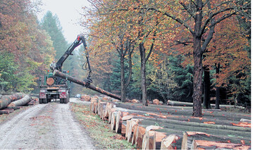 Die meisten Holzabfuhrunternehmer arbeiten seri�s. Das ICELT-System soll dazu beitragen, den wenigen schwarzen Schafen der Branche das Handwerk zu legen.