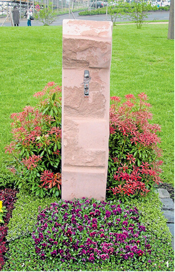 Sorten der Lavendelheide sorgen mit ihrem leuchtend roten Austrieb im Fr�hjahr f�r Furore.