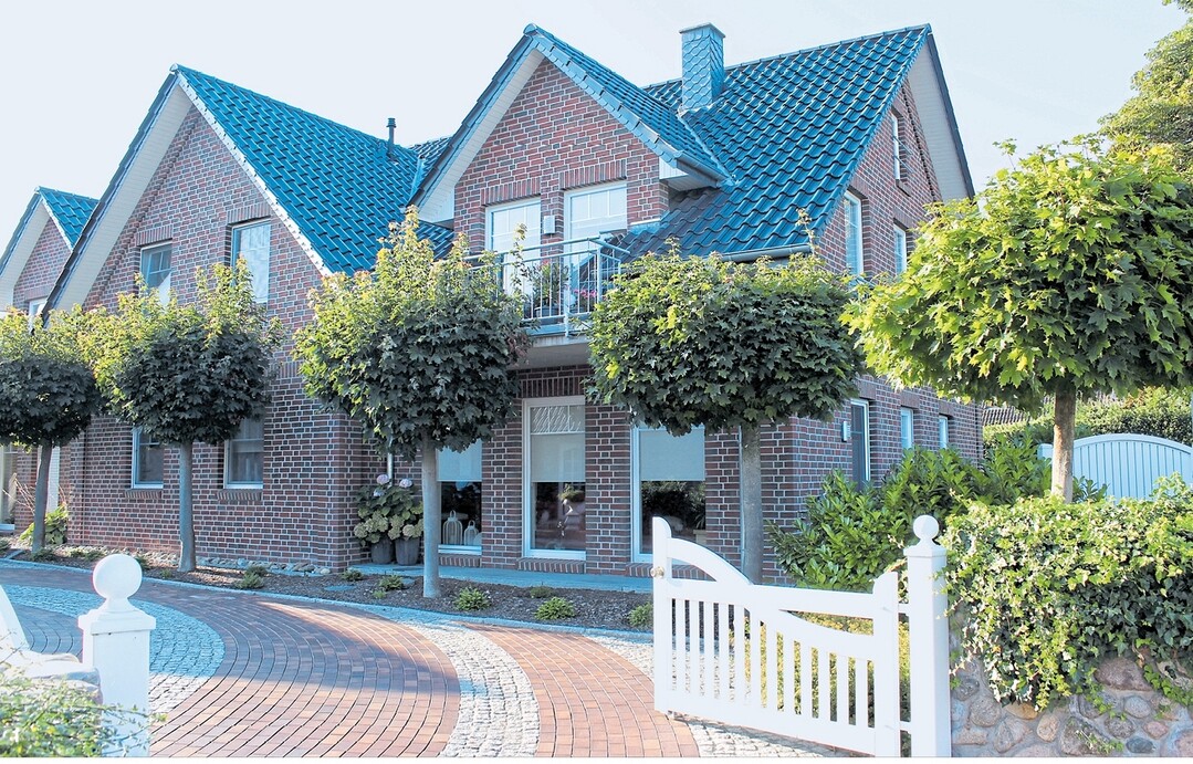 Kleiner Hausbaum: Der Kugel-Ahorn kann in Gruppen oder als Duo und auch in Solostellung ein h�bscher Hausbegleiter sein.