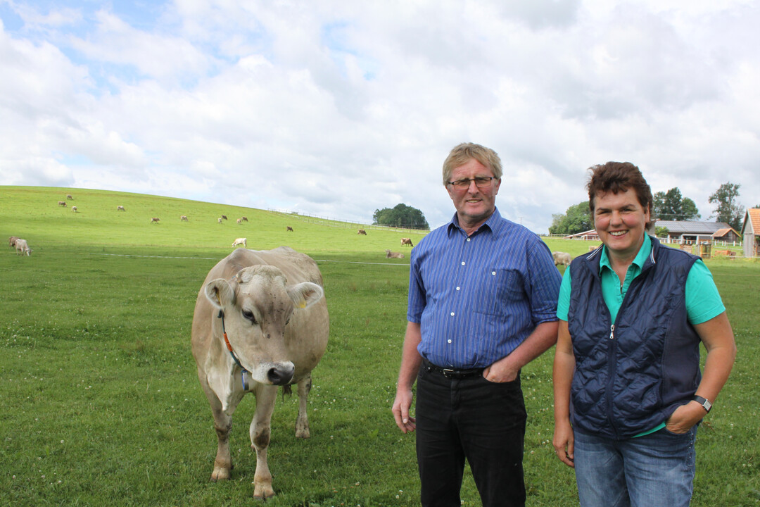 Fridolin und Brigitte Ortmann treiben ihre Braunviehk�he regelm��ig auf die Weide. Mit dem Melkroboter, den sie vor einiger Zeit auf ihrem Betrieb in Oberharprechts (Landkreis Ravensburg) eingebaut haben, l�sst sich mit dem t�glichen Auslauf der Wiederk�uer gut kombinieren.